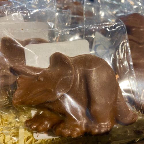 chocolate triceratops
