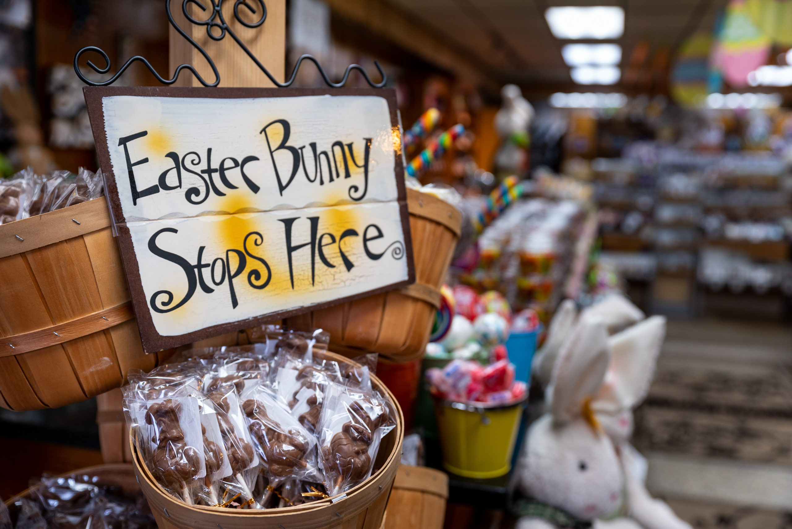 Easter Dunmore bunny sign