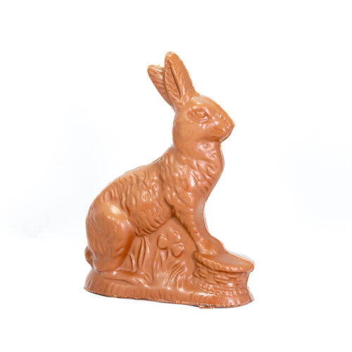 chocolate sitting bunny with paws