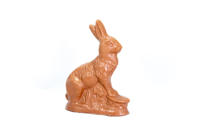 chocolate sitting bunny with paws