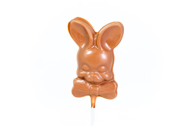chocolate big ear bunny lollipop